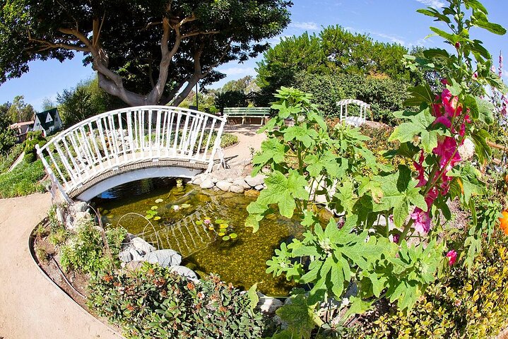 Private Shoreline plus Coast Botanic Gardens by the Sea day trip - Image 2