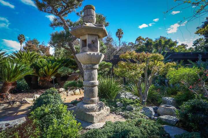  Private Shoreline plus Coast Botanic Gardens by the Sea day trip - Image 5
