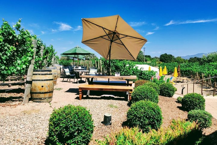 Santa Barbara Wine Tasting Day Tour from Los Angeles - Image 4