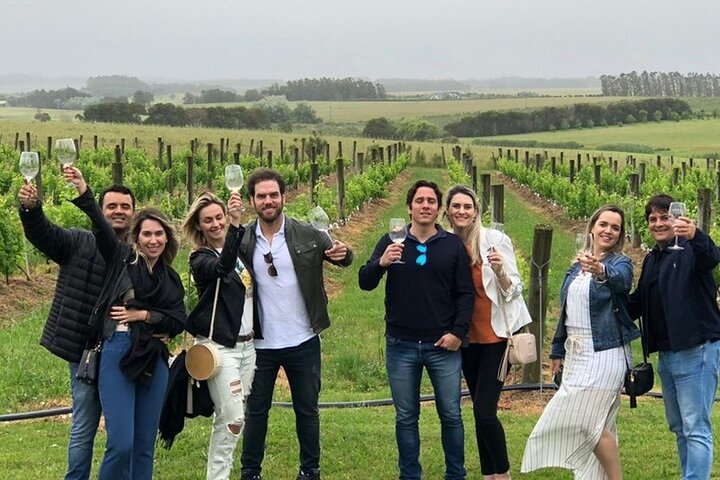 Temecula Wine Country & Shopping Private Day Trip. - Image 4