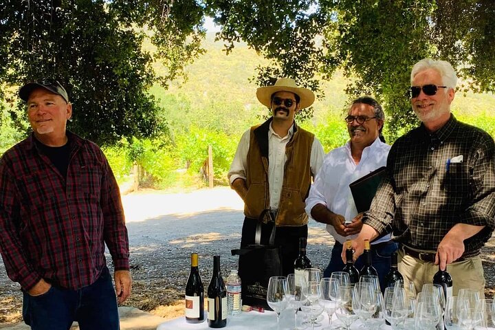 Temecula Wine Country & Shopping Private Day Trip. - Image 3