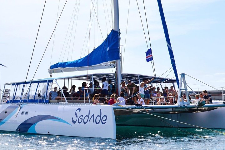 Lounge Catamaran SODADE Half-Day - Image 1