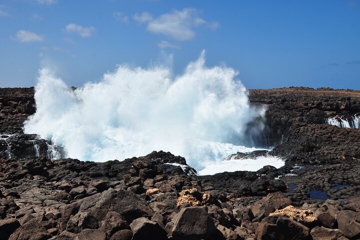 Private Half-Day Island Tour with Shark watching experience from Santa Maria - Image 2
