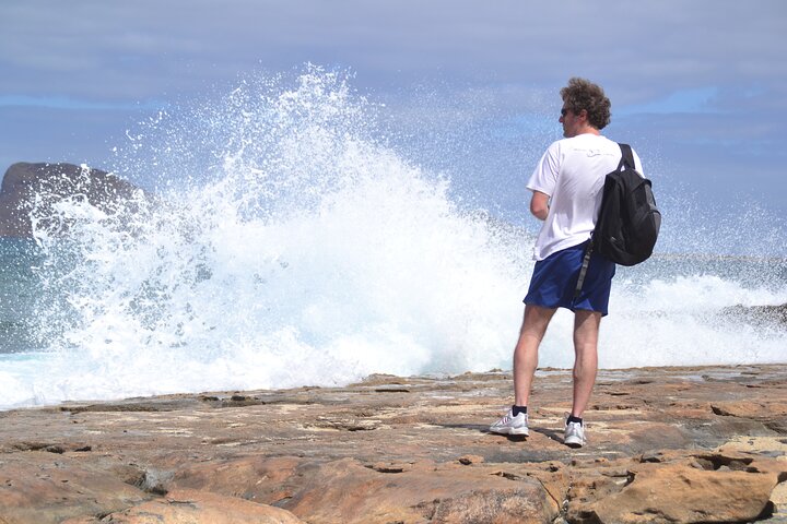 Private Half-Day Island Tour with Shark watching experience from Santa Maria - Image 3
