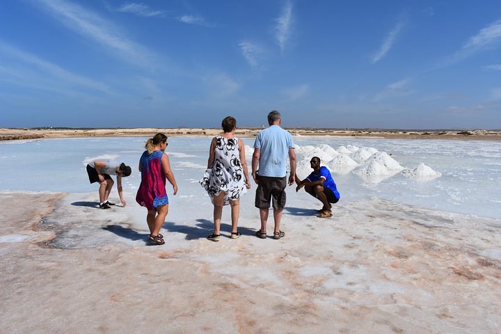 Private Sal Island Tour Authentic Experience from Santa Maria - Image 4