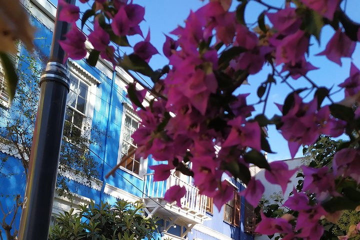 A Private Tour of Valparaiso with an experienced local guide. - Image 4