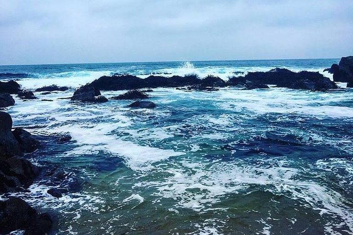 Black Island + Undurraga - Image 2