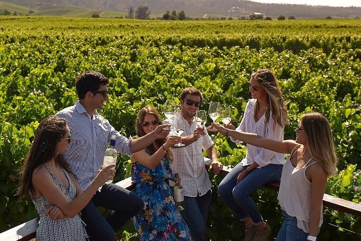 Casablanca Valley Experience  - Image 1