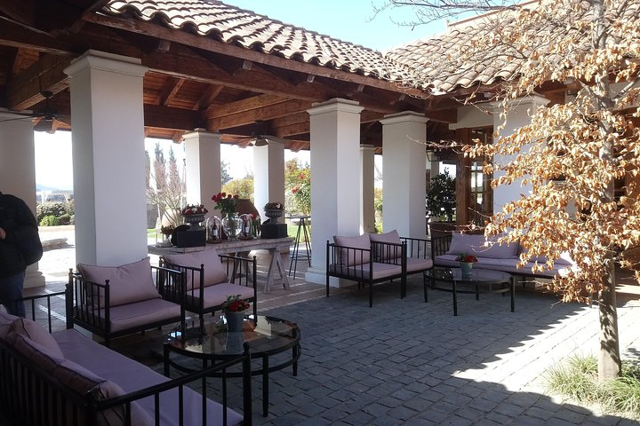 Casas del Bosque Vineyard and Viñamar Vineyard Valle de Casablanca - Image 3