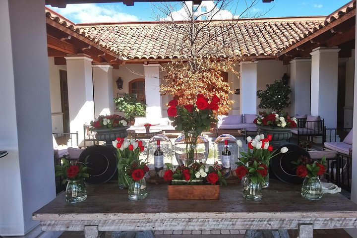 Casas del Bosque Vineyard and Viñamar Vineyard Valle de Casablanca - Image 4