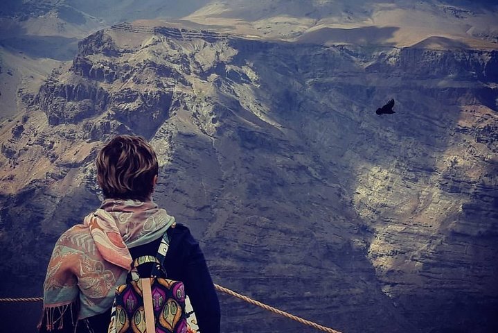Condor watching tour at the Andes + Artisan Village in Santiago - Image 1