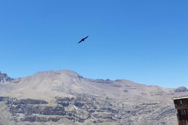 Condor watching tour at the Andes + Artisan Village in Santiago - Image 5
