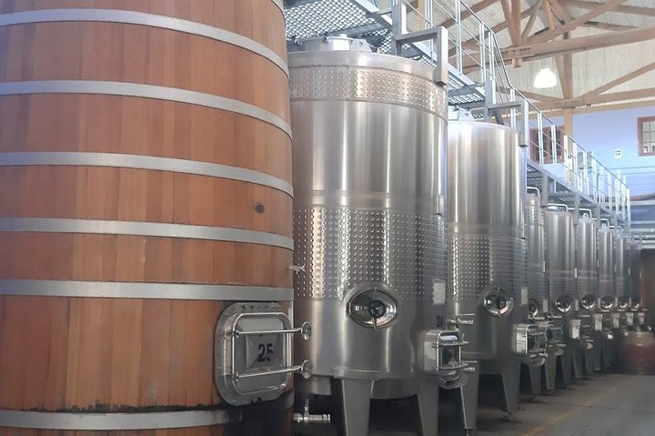 From San Antonio Pier or Valparaiso to the vineyard with lunch To the Airport  - Image 2