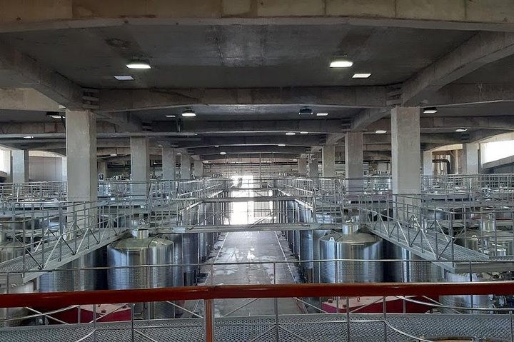 From San Antonio Pier or Valparaiso to the vineyard with lunch To the Airport  - Image 3