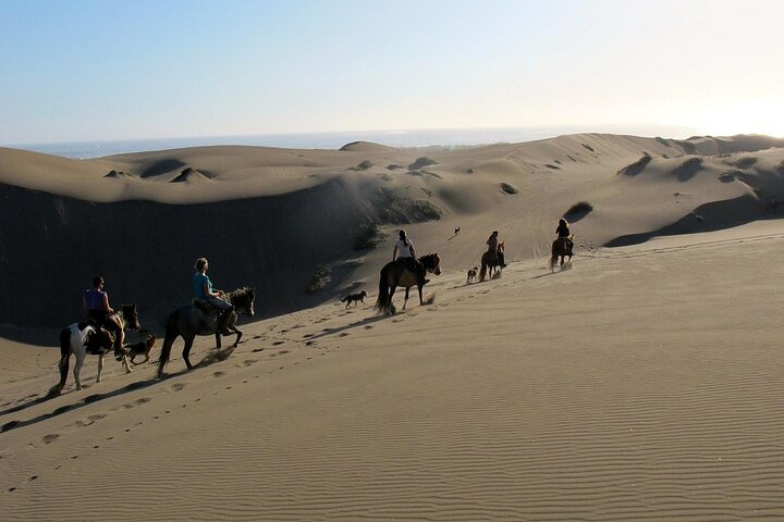 Full Day Valparaiso, Winery ,Dunes Horse Ridding & BBQ - Santiago - Image 1