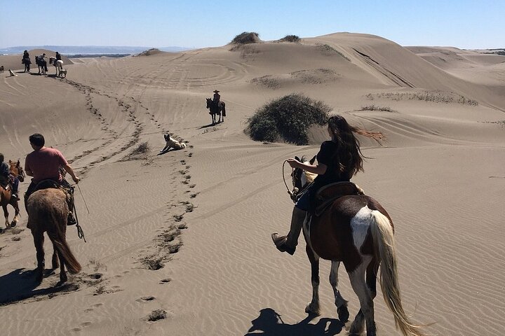 Full Day Valparaiso, Winery ,Dunes Horse Ridding & BBQ - Santiago - Image 2