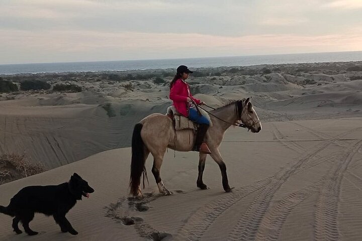 Full Day Valparaiso, Winery ,Dunes Horse Ridding & BBQ - Santiago - Image 5