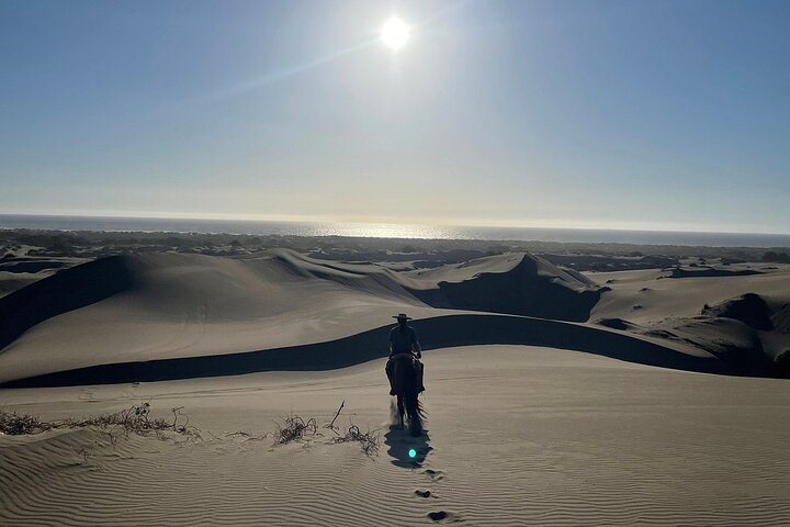 Full Day Valparaiso, Winery ,Dunes Horse Ridding & BBQ - Santiago - Image 3