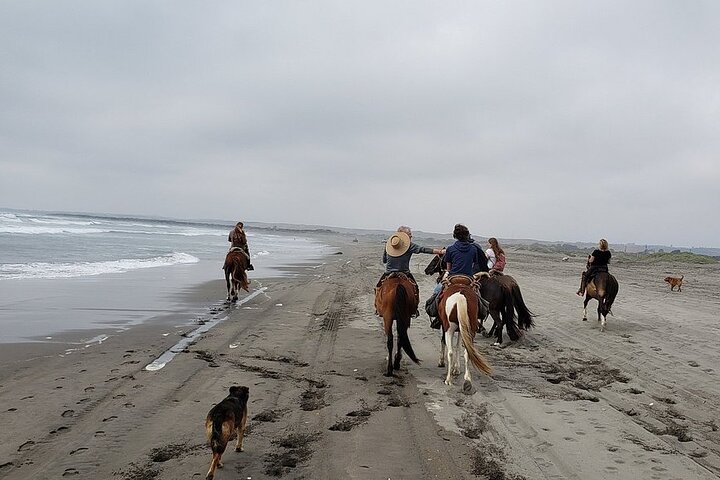 Full Day Valparaiso, Winery ,Dunes Horse Ridding & BBQ - Santiago - Image 4