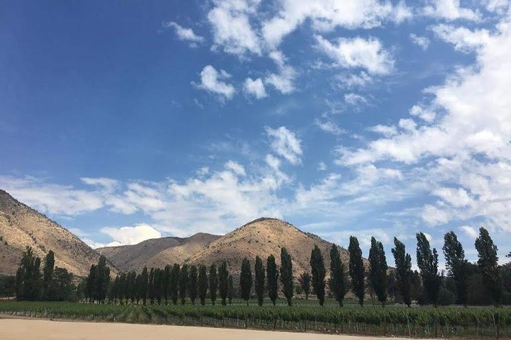 Maipo Valley - Image 1