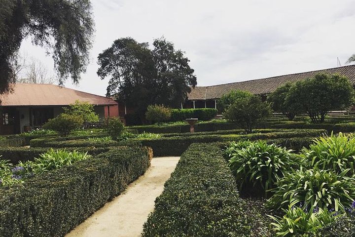 Maipo Valley - Image 4