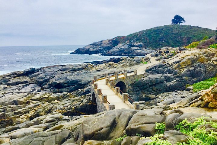 Penguins,Sea lions,Sand Boarding,Paragliding Chilean food &drinks - Image 2