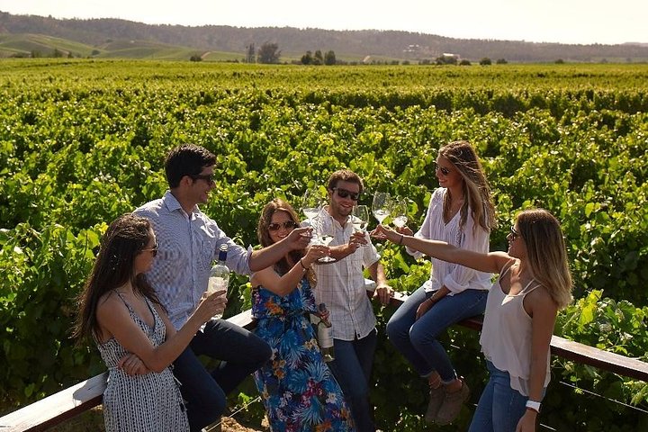 Pre or Post Valparaiso Cruise with Santiago City Tour and optional Vineyard - Image 4