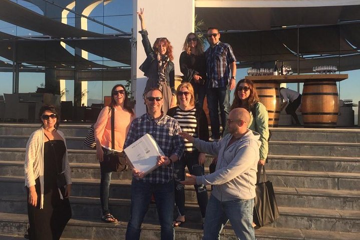 Pre or Post Valparaiso Cruise with Santiago City Tour and optional Vineyard - Image 2