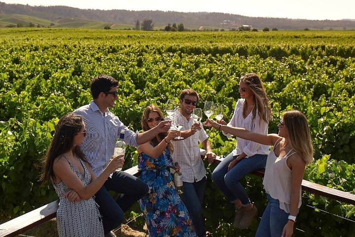 Pre or Post Valparaiso Cruise with Santiago City Tour and optional Vineyard - Image 3