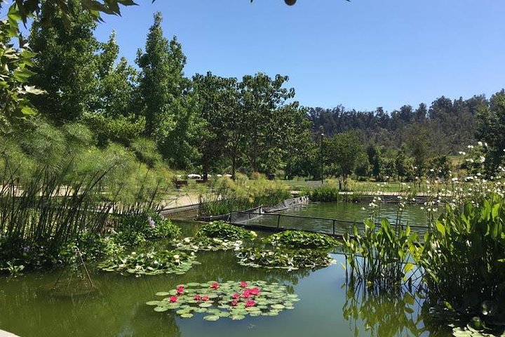 Private Half Day Tour in Santiago - Image 2