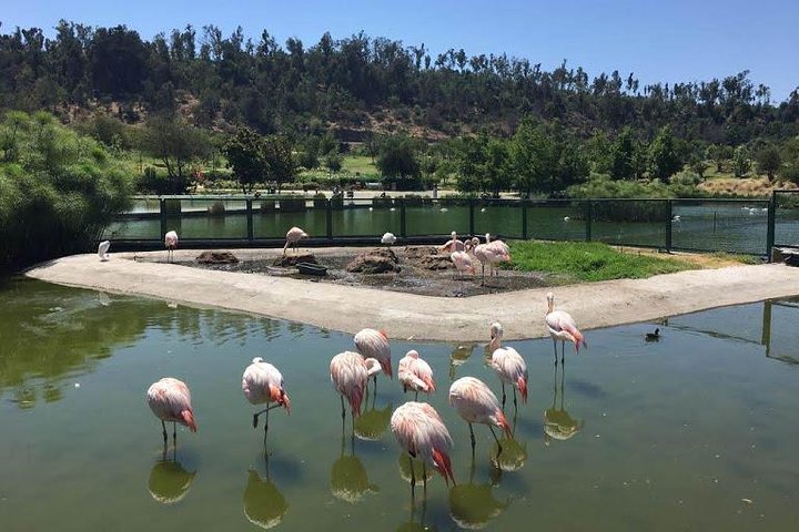 Private Half Day Tour in Santiago - Image 3