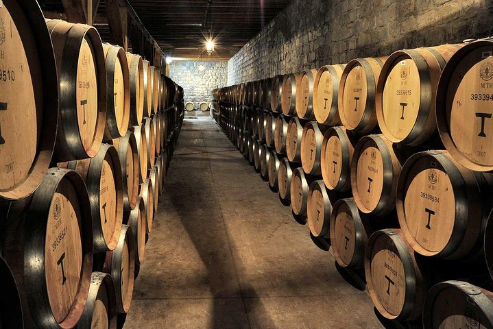 Private Tour: Santa Rita Vineyard with Wine Tastings - Image 1