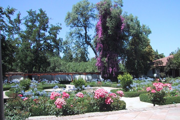 Private Tour: Santa Rita Vineyard with Wine Tastings - Image 5