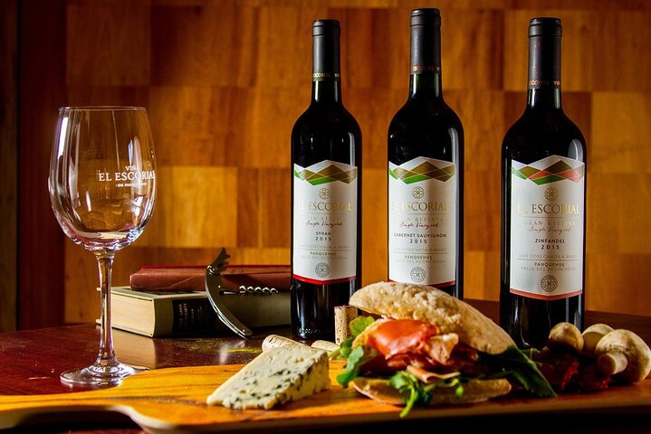Private Valle Aconcagua Wineries Guided Tour from Santiago. - Image 1