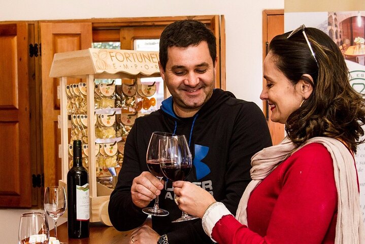 Private Valle Aconcagua Wineries Guided Tour from Santiago. - Image 5