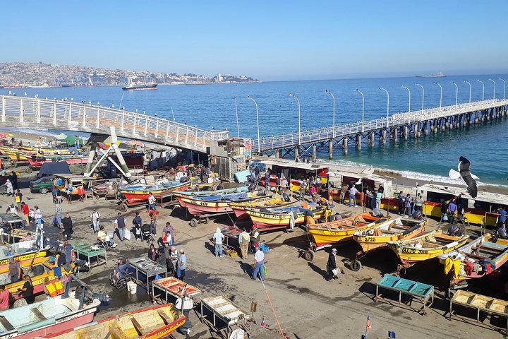 Santiago to Valparaiso & Casablanca: Port Drop-off - Image 2