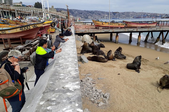 Santiago to Valparaiso & Casablanca: Port Drop-off - Image 3