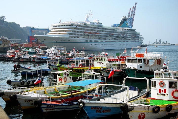 Tour to Viña del Mar and Valparaíso Private - Image 3