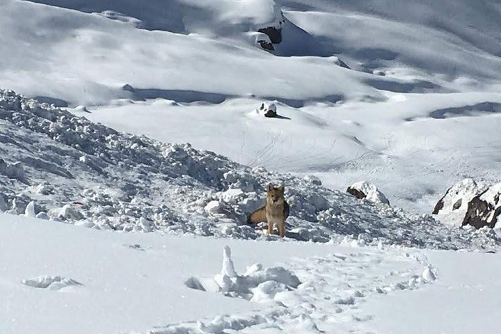 Valle Nevado Ski Center - Image 3