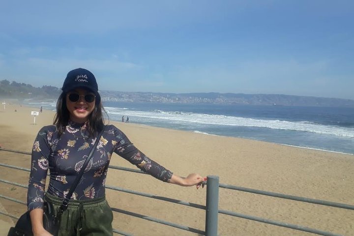 Valparaiso and Viña del Mar Private Tour with wine tasting included - Image 2