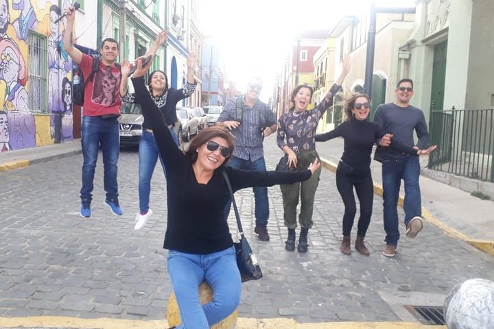 Valparaiso and Viña del Mar Private Tour with wine tasting included - Image 4