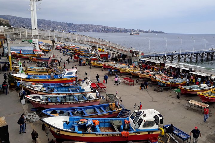 Valparaiso Private Tour and Wine Tasting by French-German Guide - Image 2