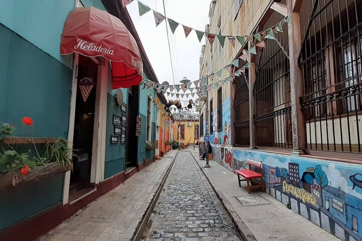 Valparaiso Private Tour and Wine Tasting by French-German Guide - Image 4