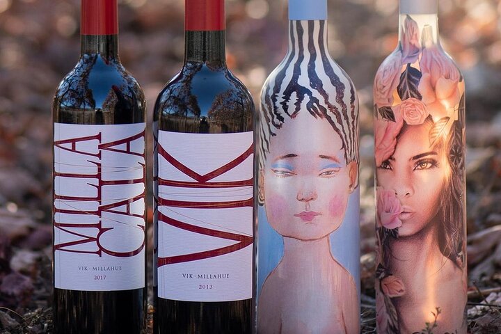 Visit VIK Winery (3rd World Best Wine) & Transfer to Hotel - Image 2