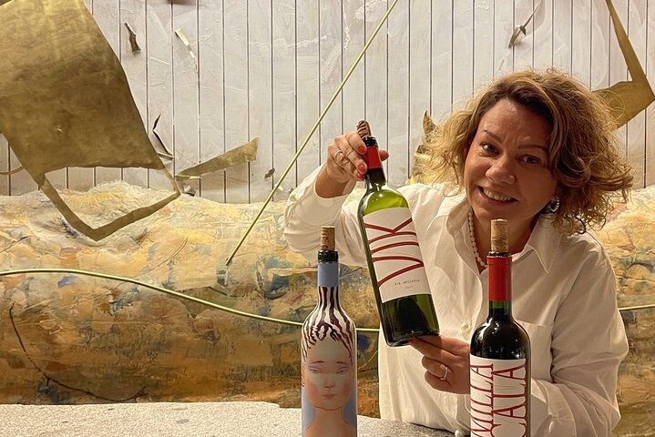 Visit VIK Winery (3rd World Best Wine) & Transfer to Hotel - Image 3