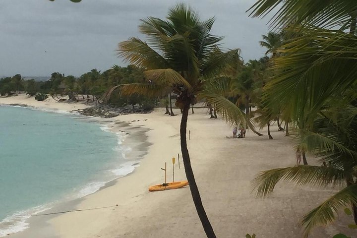 Full-day at Catalina Island from Santo Domingo with optional snorkeling included - Image 3