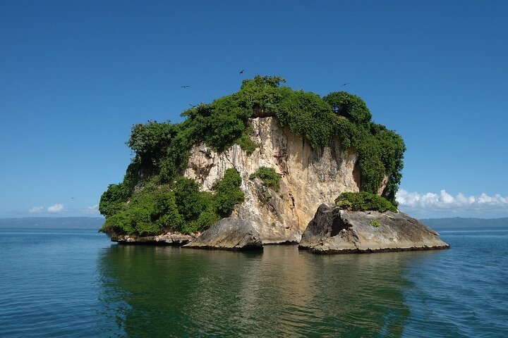Los Haitises Park & Cayo Levantado: Samaná unforgettable Journey - Image 5