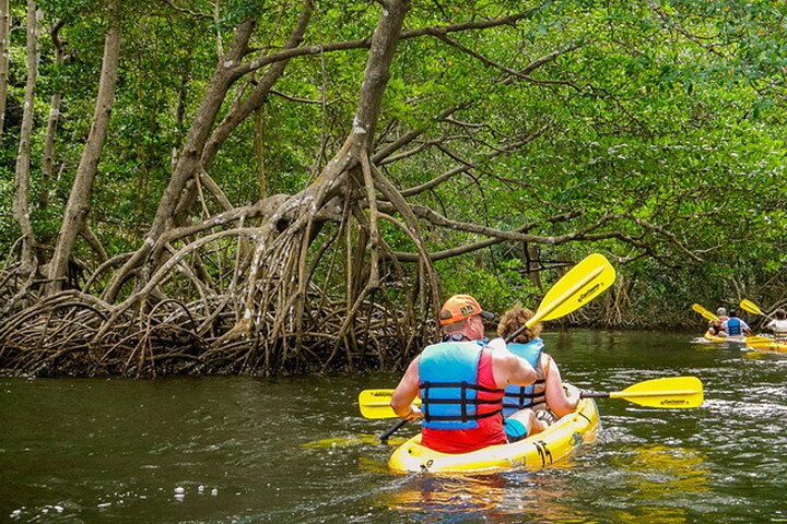 Private Kayaking Nature Tour of Los Haitises National Park - Image 1