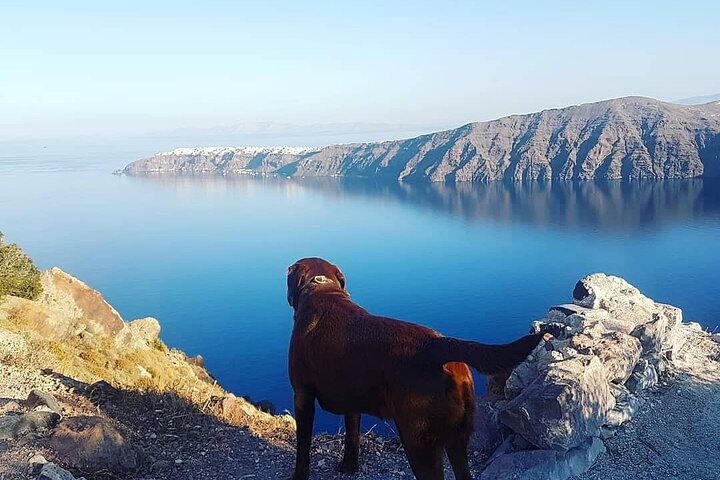 5-Hour Private Custom Santorini Tour - Image 3