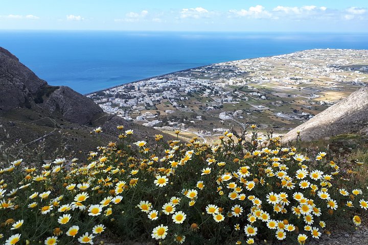 Amazing sightseeing in Santorini 2022 - Image 4